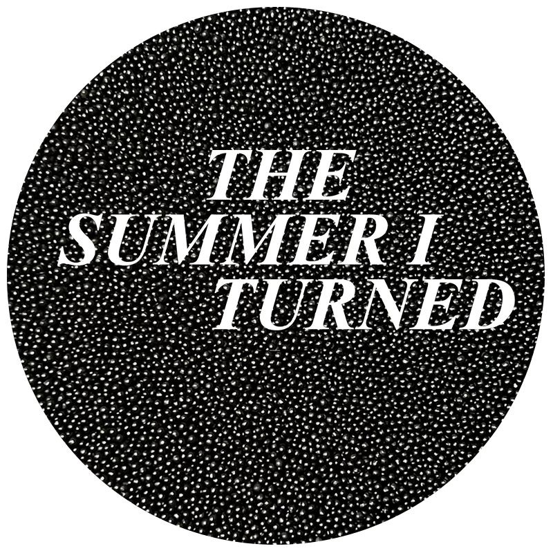 The Summer I Dotcake