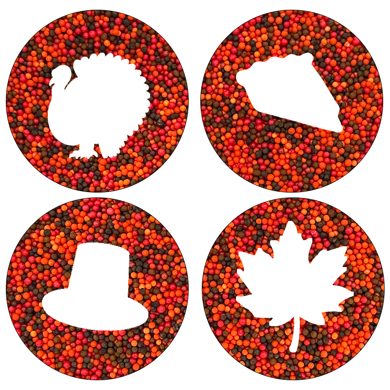 Thanksgiving Dotcup Set 2025